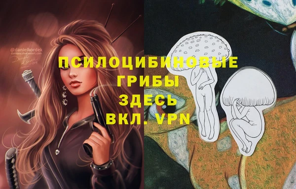 a pvp Белокуриха