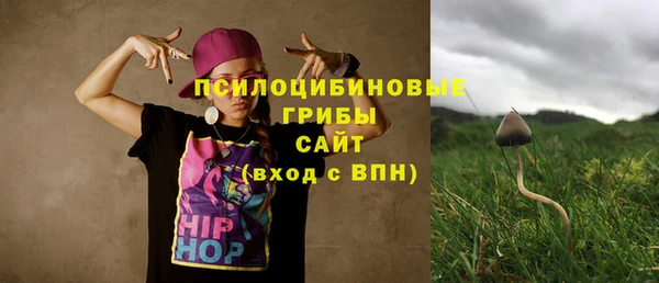 MESCALINE Богородицк