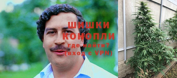 крисы Богданович
