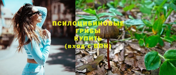 шишки Богородск