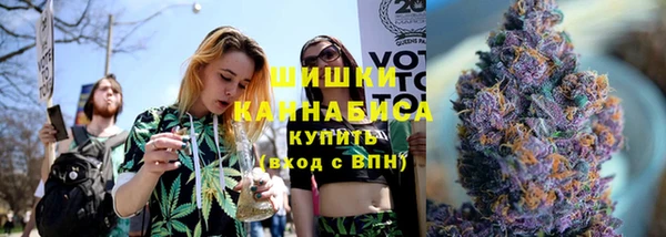 шишки Богородск